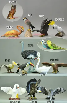 Cietā pvc Simulācijas modelis, Cietā modeli, toucan putnu / Ostrich / Gulbis / parrot / Flamingo / Ērglis pelicans 14pcs/komplekts