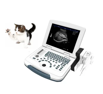 Dzīvnieku usg portatīvo klēpjdatoru veterināro grūtniecības ultraskaņas skeneris mašīna govis dzīvnieku Ķīna ar taisnās zarnas zondi