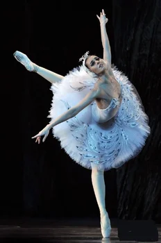 Jaunā profesionālā baleta deju dzijas svārki baleta svārki Gulbju Ezers tērpu meitene siksna sequined baleta svārki